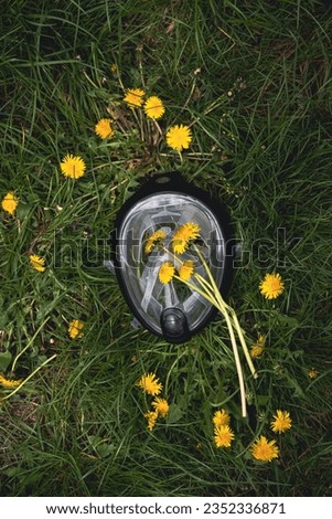 Glass Mask on a Dandelion in a Field of Grass