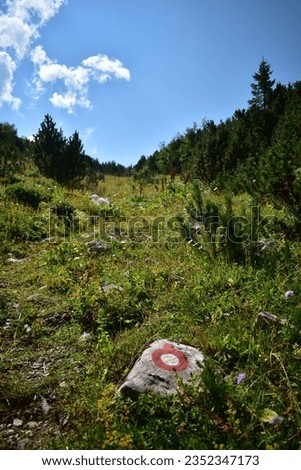 Hiking trail sign. Hiking mark on the rock. Red circle with a white dot. Trail blazing. Ljubisnja mountain in Montenegro.