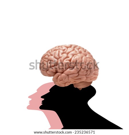 human head with brain and white background
