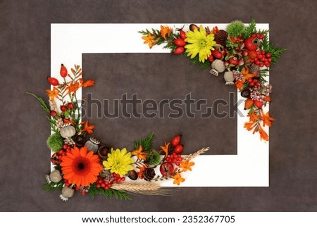 Floral Thanksgiving Autumn Fall nature background border nature concept with flowers, leaves, berry fruit, nuts, barley with white frame on brown lokta paper.
