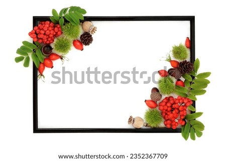 Autumn harvest festival background border with berry fruit and nuts with black frame on white. Festive floral Fall Thanksgiving nature concept for label, card, invitation, menu.