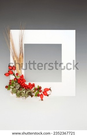 Thanksgiving Day and Autumn Fall background border with berry fruit, barley sheaths, seed heads, moss twig on gradient gray. Nature with white frame composition. 