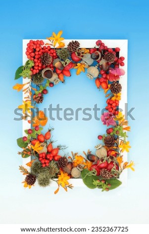 Thanksgiving Autumn Fall festive nature concept  background frame with flowers, leaves, berry fruit, nuts with white frame on gradient blue. Greeting card, invitation, label design.