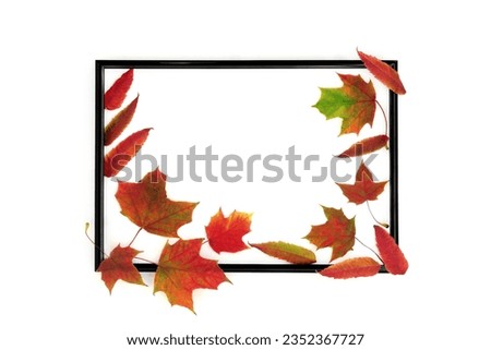 Autumn Fall leaf nature design with black frame on white background. Vivid red color border composition for card, label, invitation gift tag.