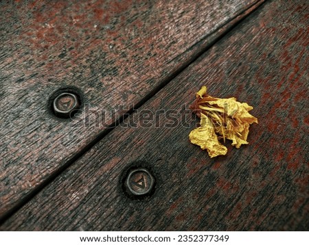 Selective focus of a flower fall off on a wooden table.