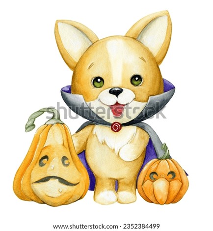 Cute puppy, in a vympir costume, pumpkins. Watercolor Halloween clip art in cartoon style, on an isolated background.