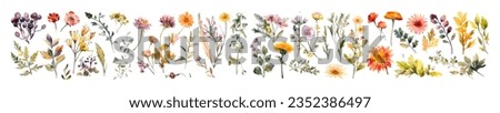 Watercolor wild flowers, leaves and grass set. Collection botanic garden elements. Vector isolated illustration in vintage style
