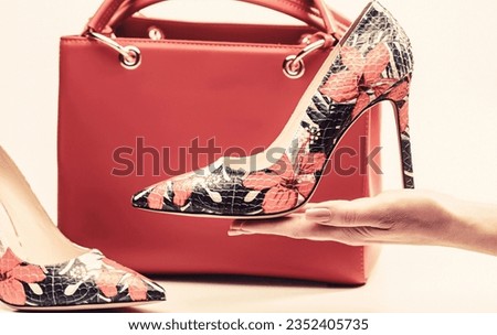 Woman bag. Ladies bag and stylish red shoes. Colorful leather shoes stiletto. Stylish classic women leather shoe.