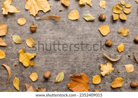 Autumn composition made of dried leaves, cones and acorns on table. Flat lay, top view.