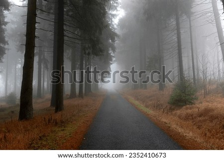 Autumn landscape with road, forest and fog