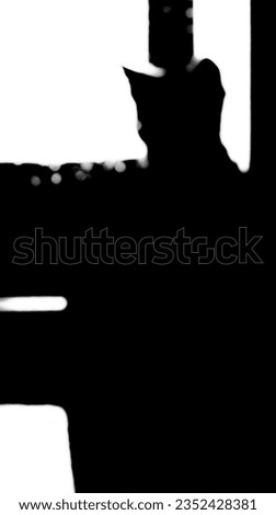 Pretty cat looking out window silhouette bokeh abstract background in classic black white