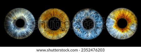 Close up of eye iris on black background, macro, photography Royalty-Free Stock Photo #2352476203