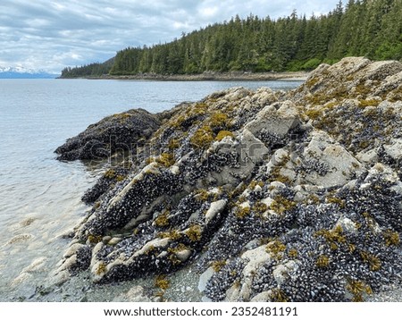 Alaska's Hidden Gem: Ernest Gruening State Historical Park - A Journey Back in Time