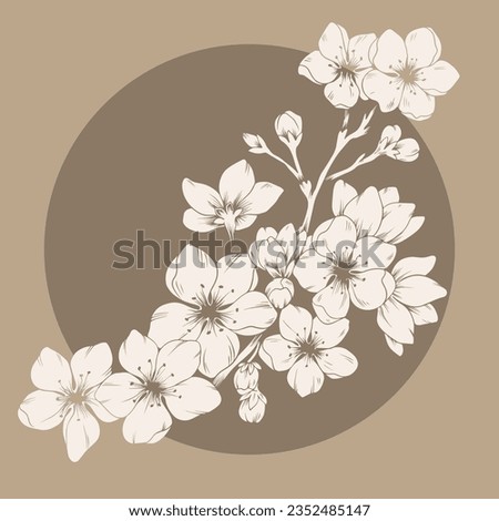 beautiful spring flower picture vector illustrator