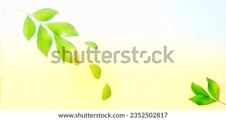 Fresh leaves, top corner, bottom corner, green, against a white-yellow background, nature, simplicity, clarity, classic style, in detail, harmonious, modern quirky.