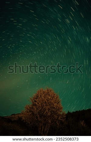 Photo of a tree with the background of stars.
