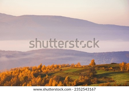 carpathian rural landscape in autumn. foggy weather at sunrise. fields on the hills. trees in fall foliage