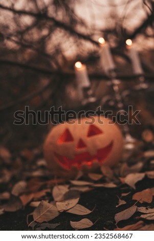 Scary jack lantern halloween pumpkins in sun day on ground among dry leaves at street. All hallows eve decoration funny pumpkin with candles on candlestick at fall background in open air near house