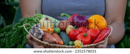 the farmer holds a basket of vegetables in his hands. Selective focus. nature