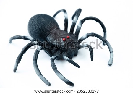 Toy black spider on white background. High quality photo
