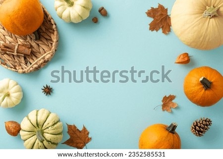 Thanksgiving heritage view. Top view shot of pumpkins, gourd, pattipans, leafage, anise, cinnamon sticks, physalis, pine cone, and wicker harvest basket on pastel blue surface, text or advert space