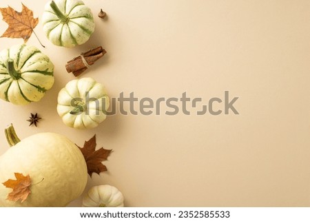 Embrace the essence of autumn harvest with this top-down snapshot. Arrangement of mature pumpkins and fall-themed objects on an isolated beige background with copyspace perfect for messages or ads Royalty-Free Stock Photo #2352585533
