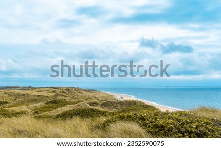 Beautiful summer scenery in the North Sea with the marram grass dunes from the Sylt island and the blue sky