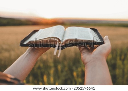 Open bible in hands, sunset in the wheat field, christian concept. Royalty-Free Stock Photo #2352596641