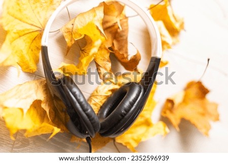 dry autumn leaves and headphones