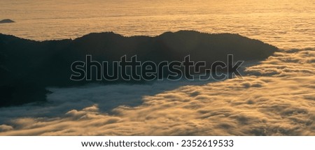 The mist is a forested mountain slope in a low-lying valley with silhouettes of evergreen conifers