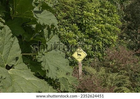 Sign in the undergrowth saying slow cat crossing which is a yellow colour