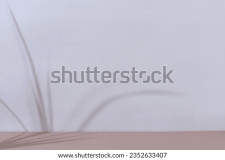 Aesthetic brown minimal product placement background
