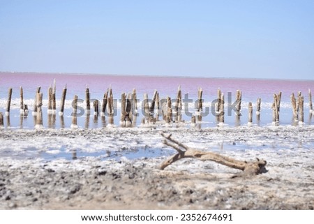 Lake Sasyk-Sevysh. Crimea. Pink and white with sand on the shore. And a path of wooden beams that go straight to the lake.