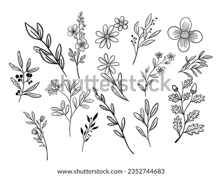 doodle flowers, clip art flowers, illustration flowers, doodle vector, clipart plants, botanical clipart, floral clip art, botanical illustration, wild flowers, doodle plants, acorn, daisy 