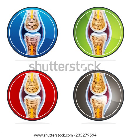 Joint anatomy symbol set. Colorful illustrations