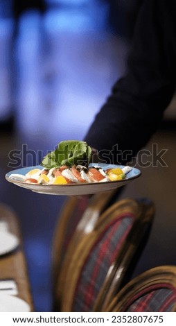 Presentation of the delicious tomato, cheese, arugula and olive oil salad prepared by the luxury restaurant.