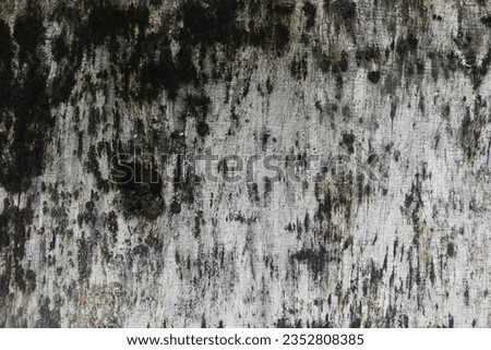 Black mold on old wood, abstract art pattern on wooden floor.