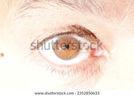 close up macro shot of human pupil iris photo