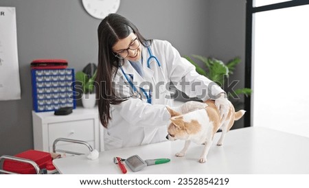 Young hispanic woman with chihuahua dog veterinarian examining dog at veterinary clinic