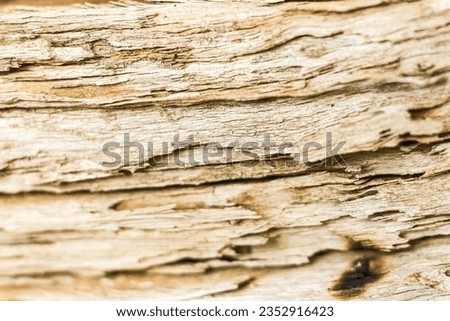 Pictures of patterns old wood brown color for texture or background.