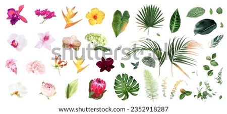 Exotic tropical flowers, orchid, strelitzia, pink medinilla, protea, palm, monstera, calathea leaves vector design big set. Jungle forest wedding floral design. Island greenery. Isolated and editable Royalty-Free Stock Photo #2352918287