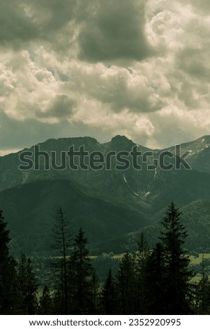 atmospheric and fairytale photo of high mountains covered with fog
