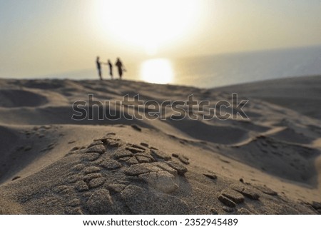 Closeup of sands of the desert , close up view desert sands background, sealine and Khor Al Adaid Beach area South, Doha Qatar