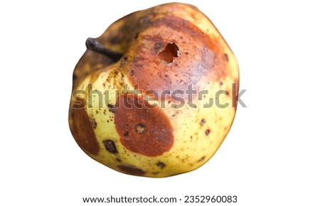Bitter rot also known as monilia or moniliosis.This is a apple disease.This apple picture located on the white background.