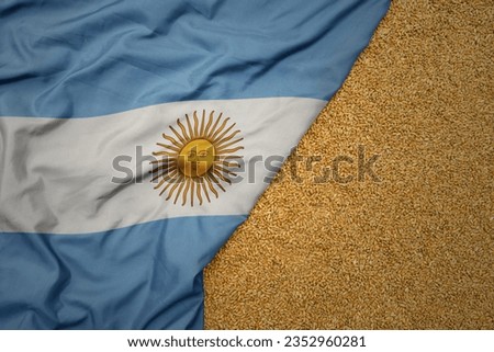 wheat grain on the waving colorful big national flag of argentina .macro shot.