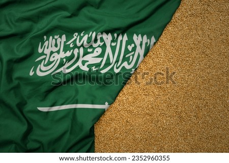 wheat grain on the waving colorful big national flag of saudi arabia .macro shot.