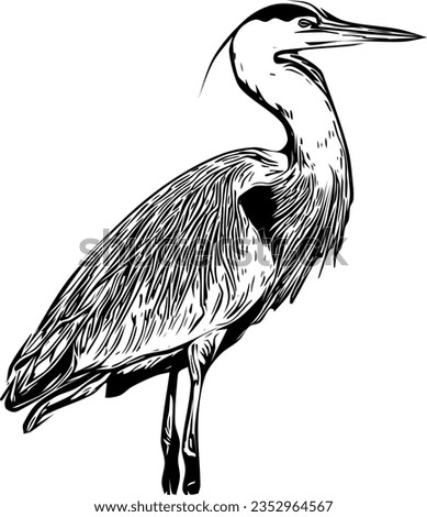 Realistic sketch of a Great Blue Heron
