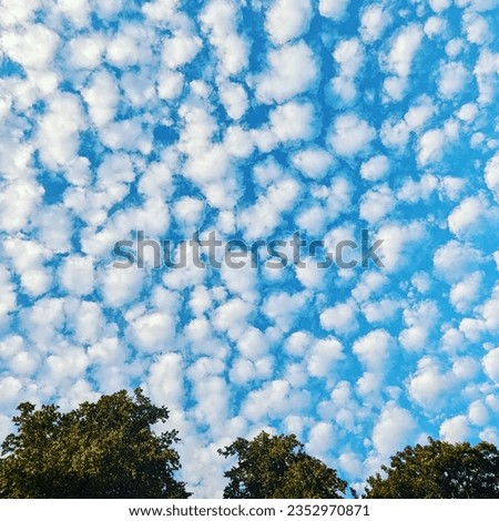 a picture of the sky with unusual cloud formations, a blue sky, bordered at the bottom by some trees
