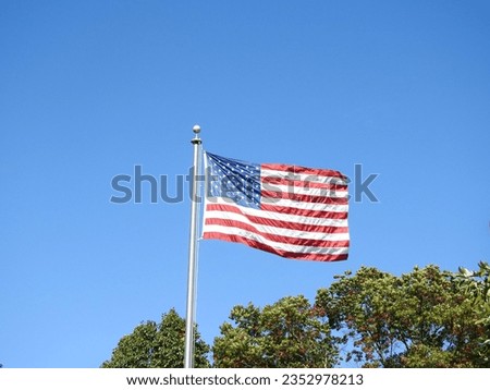American flag flying above the tree tops, under a deep blue sky.          