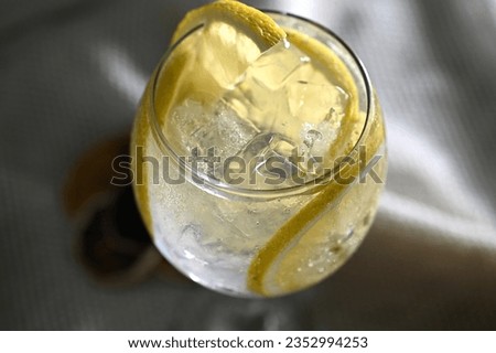 Refreshing Italian soda and lemon mojito drink with green apple Detox green juice Vegan healthy drink tropical